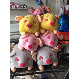 Heo mắt híp 90 cm