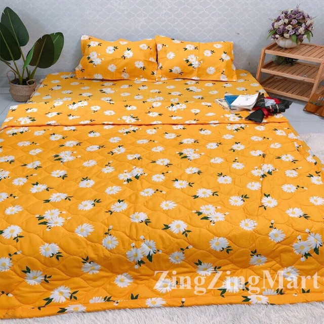 Set 5 món poly chăn trần bông ( inbox chọn mẫu)