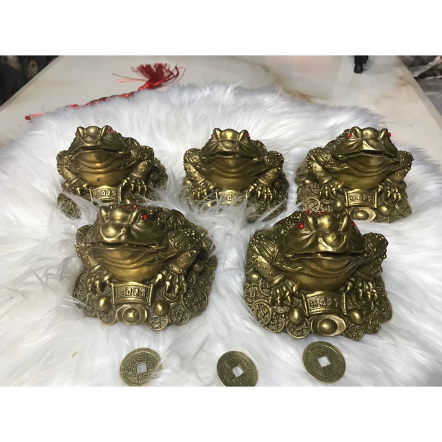 Cóc Thềm thừ đồng được nạp cốt đc khai quang