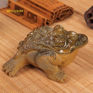 Cóc ngậm tiền thú cưng bàn trà