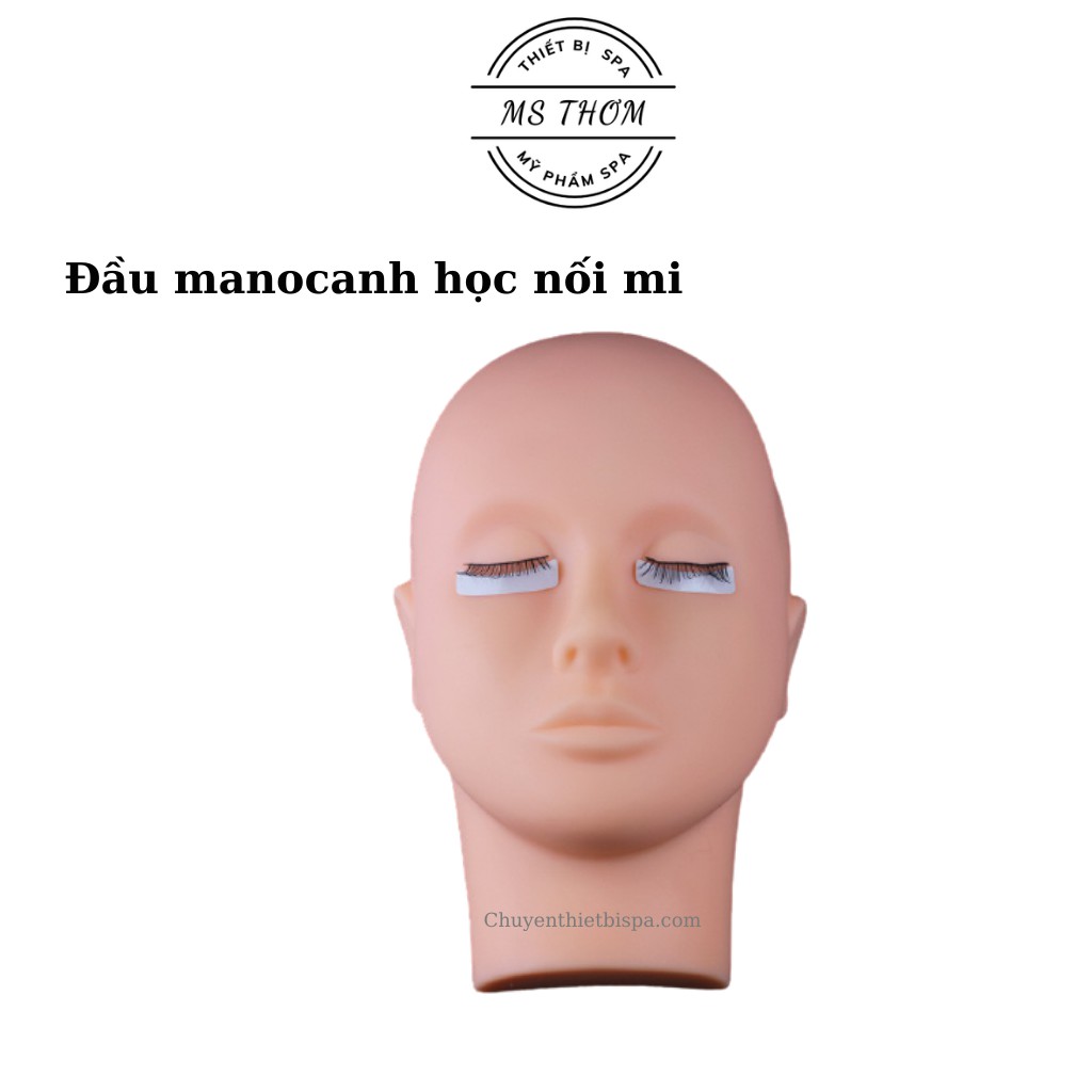 Đầu manocanh học nối mi, học massage thẩm mỹ
