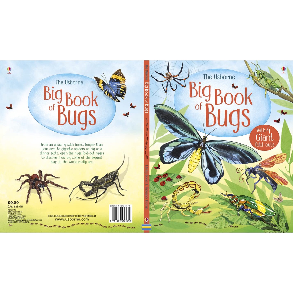 Sách Usborne thiếu nhi khoa học Usborne Big Book of Bugs