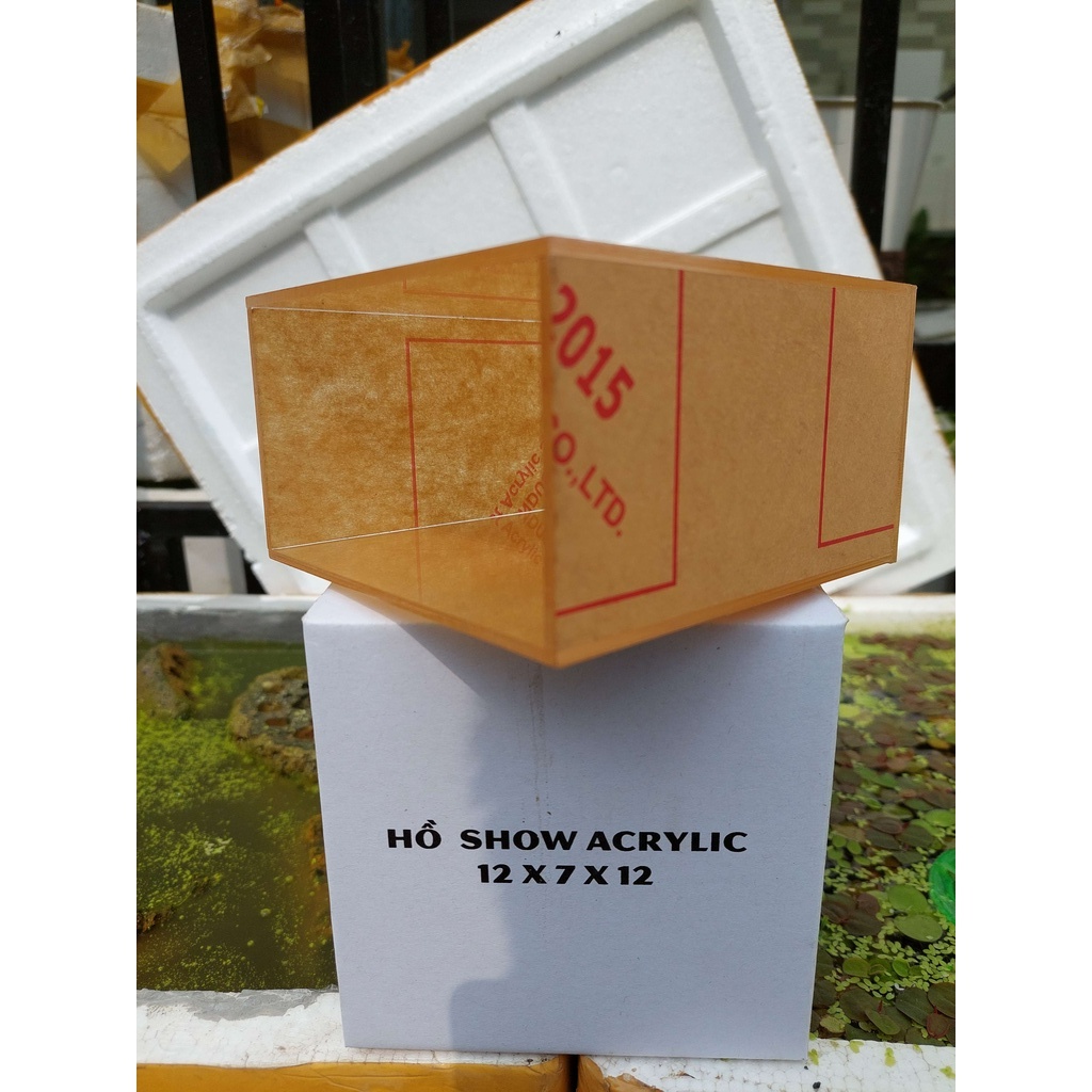 Bể show cá, Keo show, Bể cá mini acrylic, Bể cá Mica
