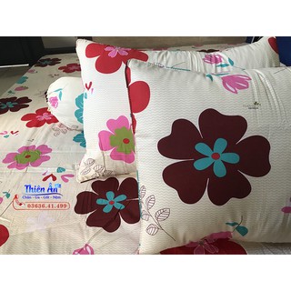 Bộ Drap Cotton Thắng Lợi hoa đỏ