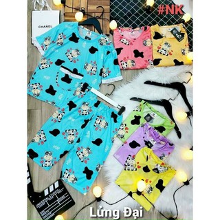 ĐỒ BỘ TIỂU THƯ LỮNG LỤA THUN COTTON 4 CHIỀU MẶC NHÀ