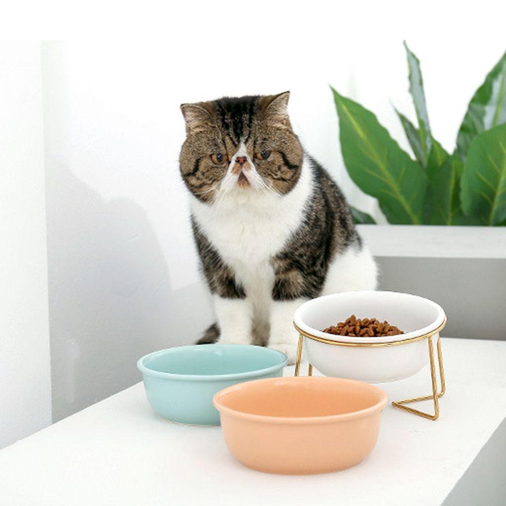 1 Tô Đựng Thức Ăn Có Giá Đỡ Đứng Bảo Vệ Cổ Phong Cách Bắc Âu Cho Thú Cưng