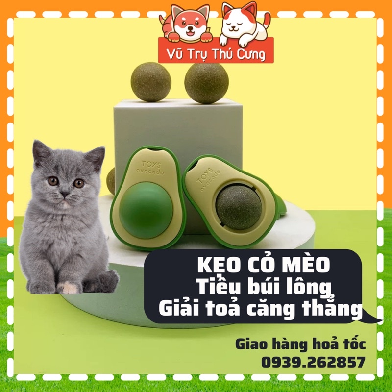 Kẹo cỏ mèo tiêu búi lông, giải toả căng thẳng, Đồ chơi cho mèo canip