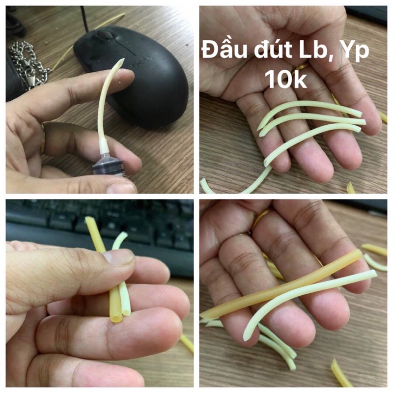 Ống đút cho vẹt con có xilanh.