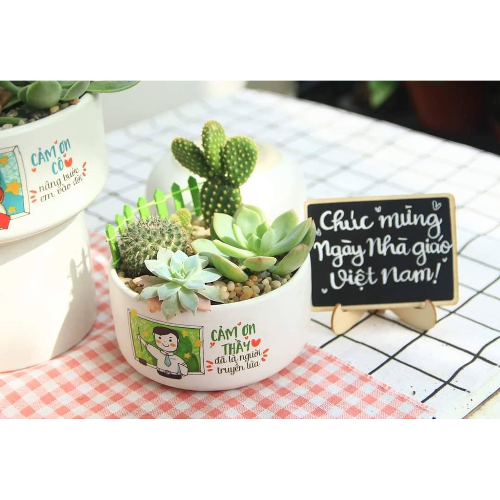 Chậu Sen mix Xương rồng in hình vẽ - Tặng thiệp, thẻ tên, đất, sỏi - Quà tặng cây xanh