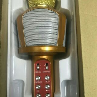 Micro kèm loa ZBX 918