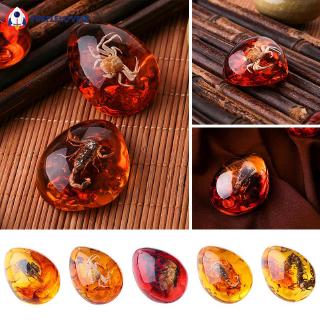 Dây Chuyền Mặt Đá Hổ Phách 5 Màu