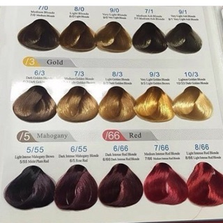 Xanh dương đen+nâu hạt dẻ sữa