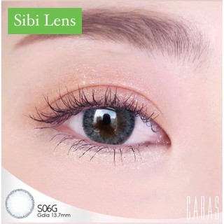 SOLOTICA NATURAL GRAY LENS