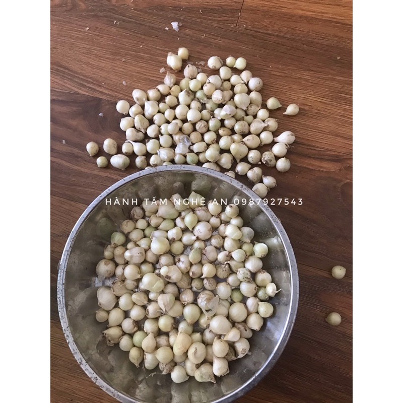 1kg Hành tăm 🧅 (củ nén) Nghệ An, của nhà trồng được bán rẻ cho mọi nhà dùng ạ <3 | BigBuy360 - bigbuy360.vn