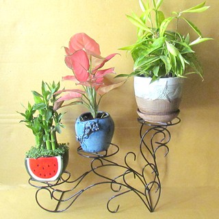 Gía đỡ chậu hoa mini