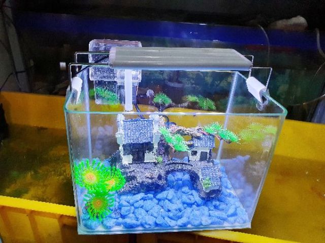 COMBO HỒ CÁ TRANG TRÍ SẴN 26x17x19cm 690