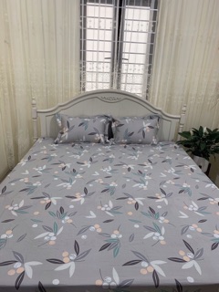 Bộ ga gối cotton Hàn Quốc