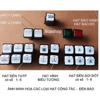 CÔNG TẮC 2 CỰC 20A LiOA.