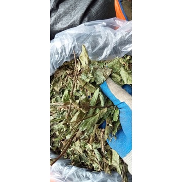 1kg Xạ đen khô chuẩn Hoà Bình,hỗ trợ tiêu u hạch.