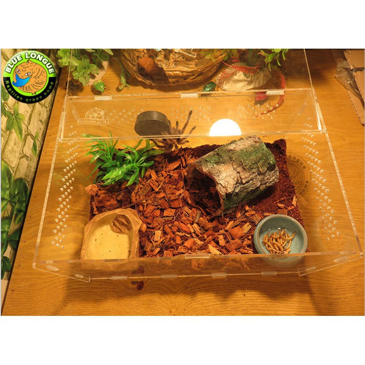 Hang gỗ trang trí thủy sinh, hang, lồng