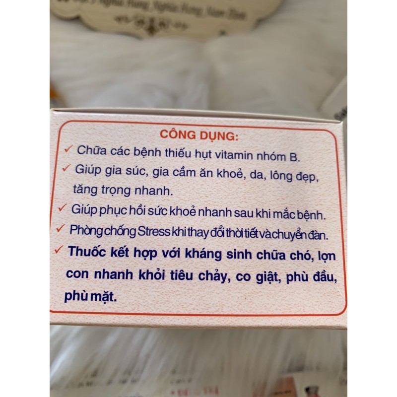 10ml Hupha B Complex - vitamin nhóm B cho chó mèo, heo con, bê, nghé, dê, gà, vịt, ngan, trâu, bò, ngựa