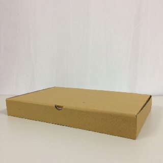 Hộp 30x20x5
