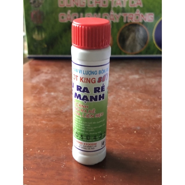 ROOT KING số 1 siêu ra rễ cực mạnh