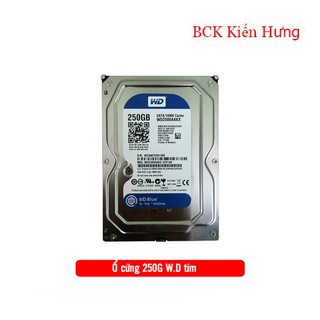 Ổ cứng chuyên dụng cho PC , đầu ghi hình camera giám sát 250GB W.D tím chính hãng bảo hành 2 năm - 250GB