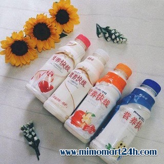 Nước uống Sữa Chua 7 vị