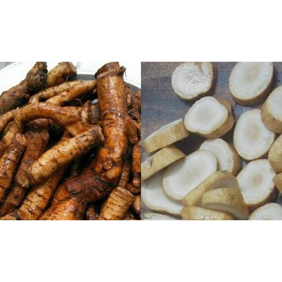 1kg Củ Gai Tươi , - An Thai ( Củ Tươi Mới Đào )