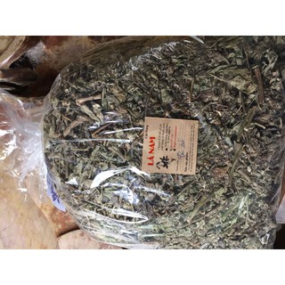 Cây Cải Trời DV097