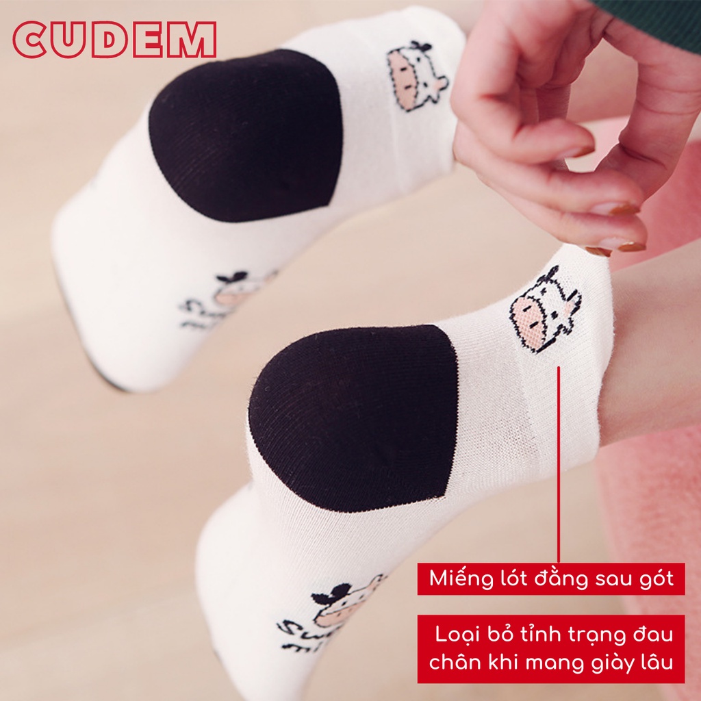 Combo 5 đôi tất vớ cổ ngắn cotton họa tiêt bò sữa có đệm gót N6