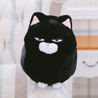Gấu Bông Mèo