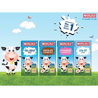 SỮA TƯƠI MARIGOLD[SALE 10%] Vị dâu,nguyên kem,socola