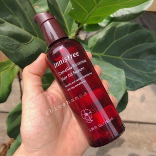 Serum dưỡng tóc Innisfree Camellia Essential hair oil serum