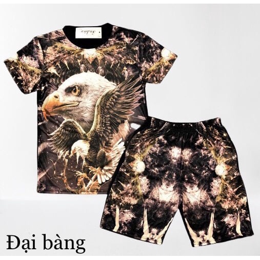 Quần áo, đồ bộ thun mẫu Đại Bàng2