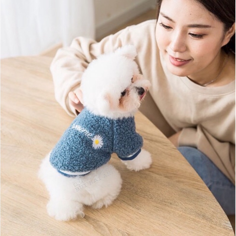 Áo lông cừu aswesome hoa cúc | BigBuy360 - bigbuy360.vn