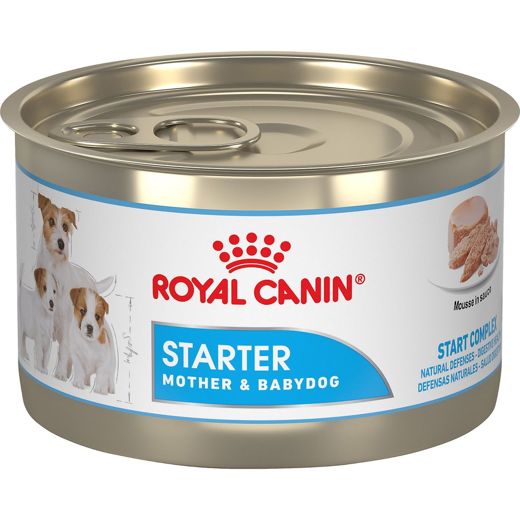 Pate Royal Canin Starter Mother &amp; Baby Dog (Chó Mẹ &amp; Chó Con)