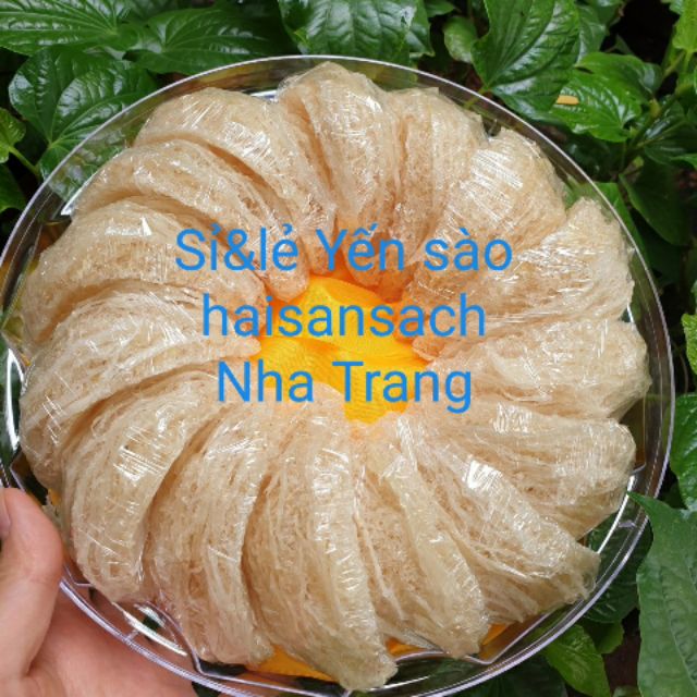 (1 lạng) yến tổ cao cấp+🎁 10 tai yến nguyên tổ Nha Trang