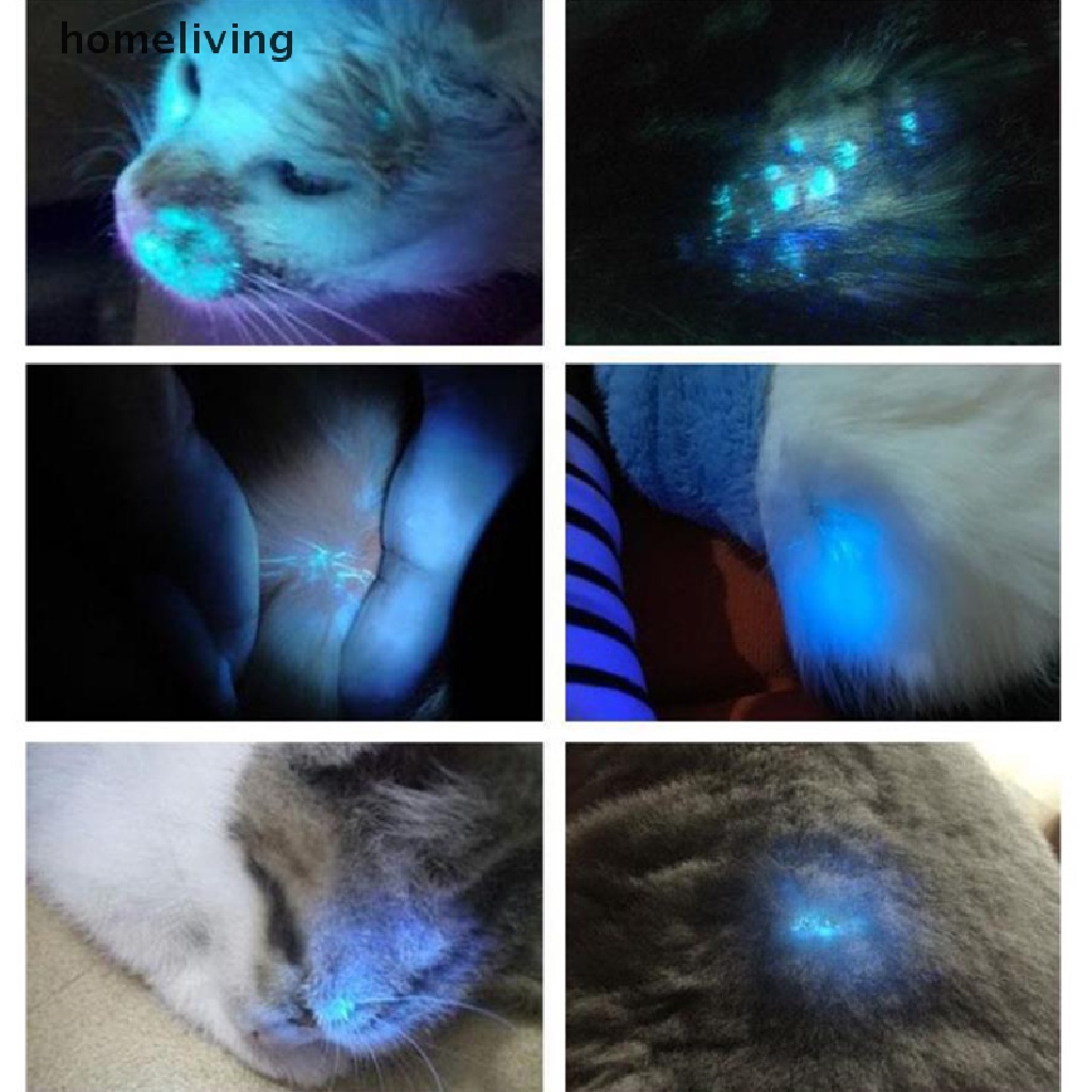 Đèn Pin Tia Cực Tím 51 / 100LEDs Ánh Sáng Đen 395nm