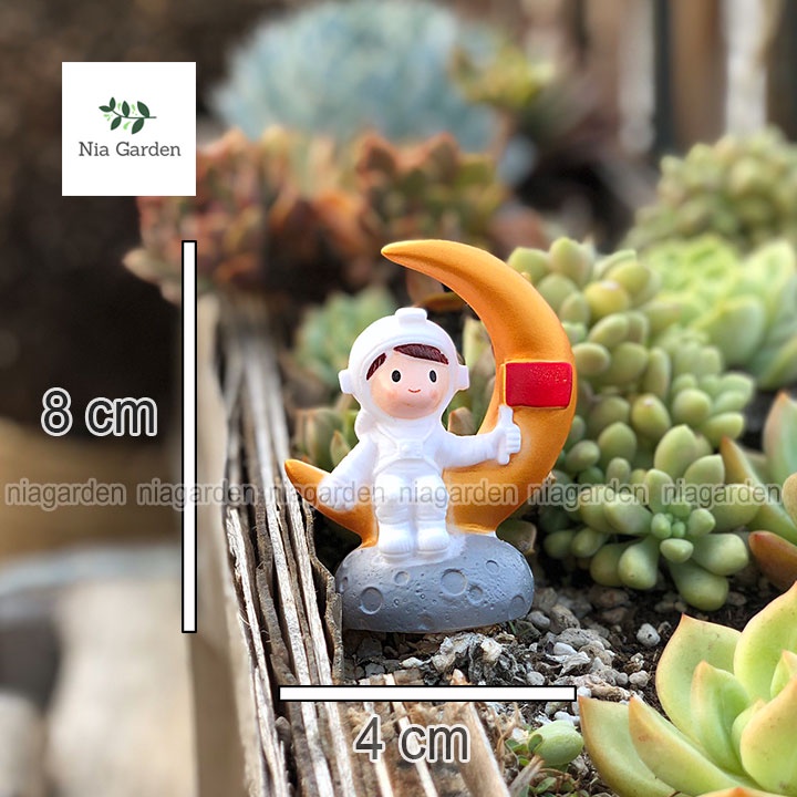 Tiểu cảnh trang trí hồ cá mô hình mini decor vườn chậu cây terrarium bàn làm việc taplo xe hơi Nia Garden N5