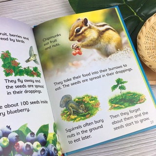 [Big Sale!] Bộ nhập 10q - USBORNE BEGINNERS NATURE BOXSET