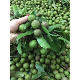 1kg quả sấu tươi