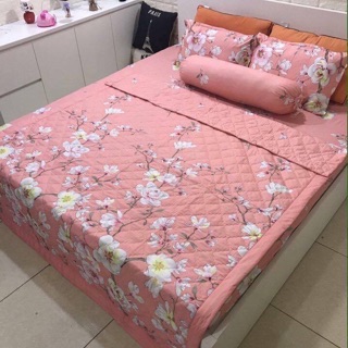 set chăn ga gối poly