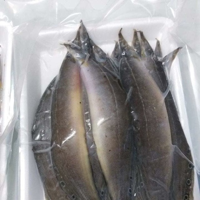 Khô cá chạch 500g /230k