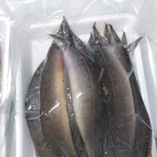 Khô cá chạch 500g /230k