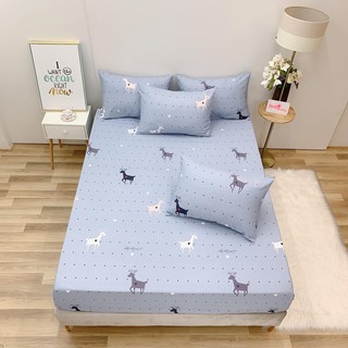 7.ga gối lẻ cotton lụa