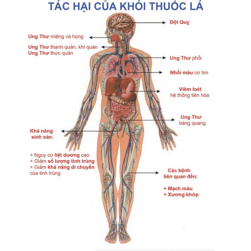 Nước Súc Miệng Cai Thuốc Lá Boni-Smok làm thay đổi mùi vị thuốc lá khi hút dẫn đến việc từ bỏ thuốc lá, khử mùi hôi miện