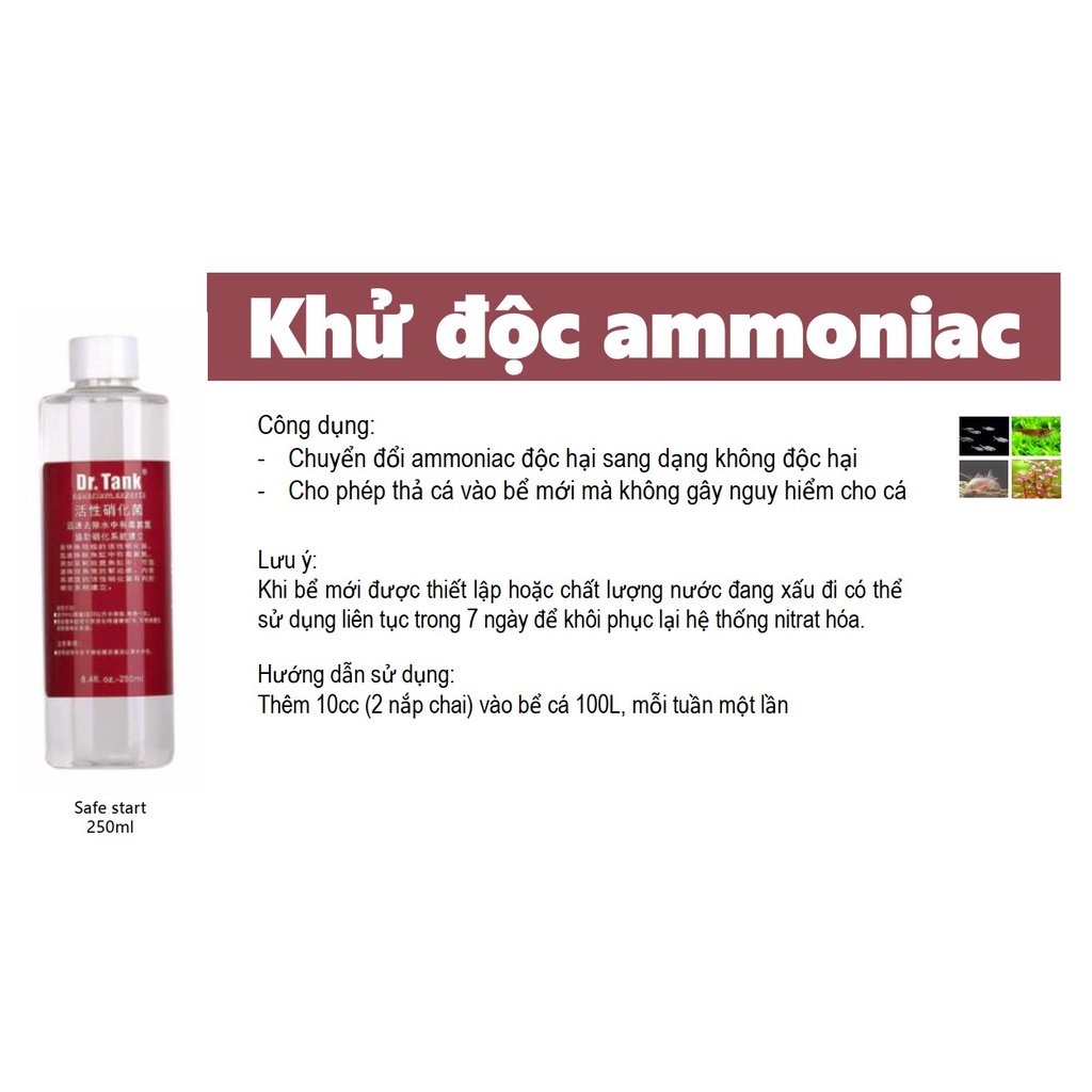 Dung dịch diệt rêu tảo hại Dr.Tank Algae Control Zym