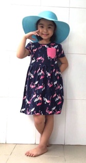 Đầm thun Gymboree bé gái